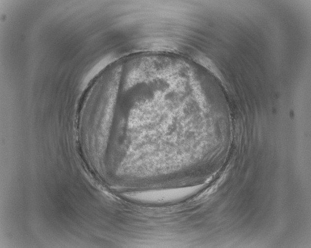 X0000065251071200603131122