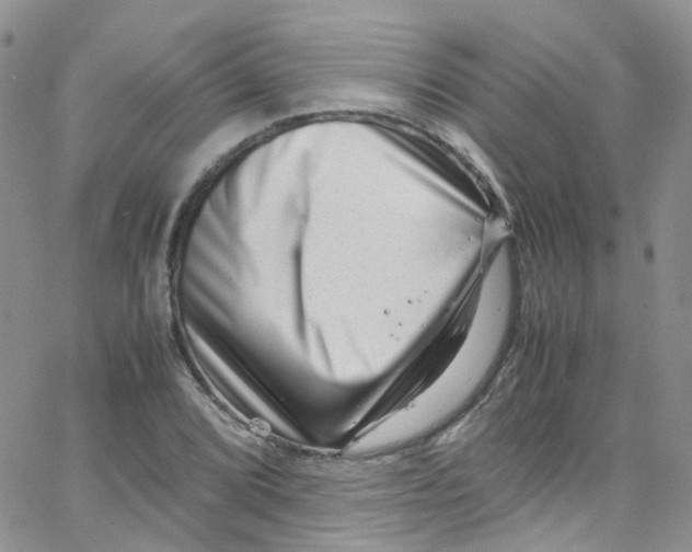 X0000065251072200603131122