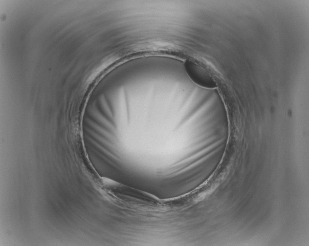 X0000065251073200603131122