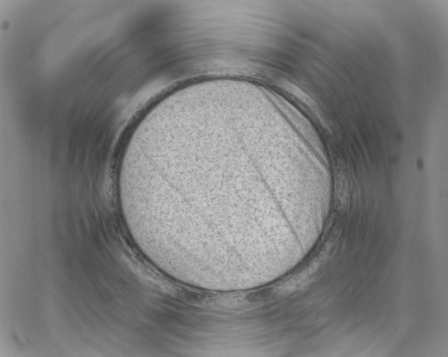 X0000065251074200603131122