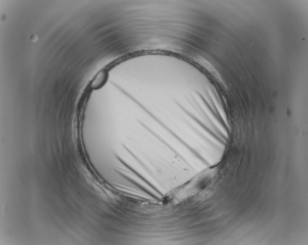 X0000065251076200603131122