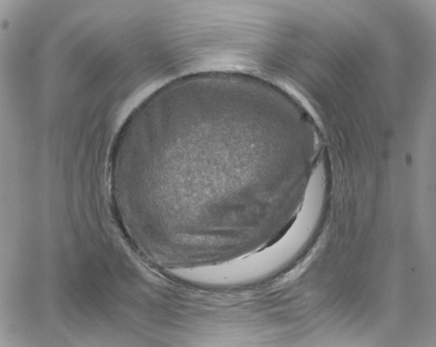 X0000065251077200603131122