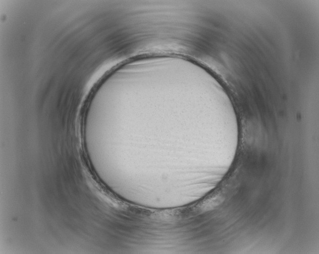 X0000065251078200603131122