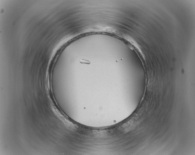 X0000065251080200603131122