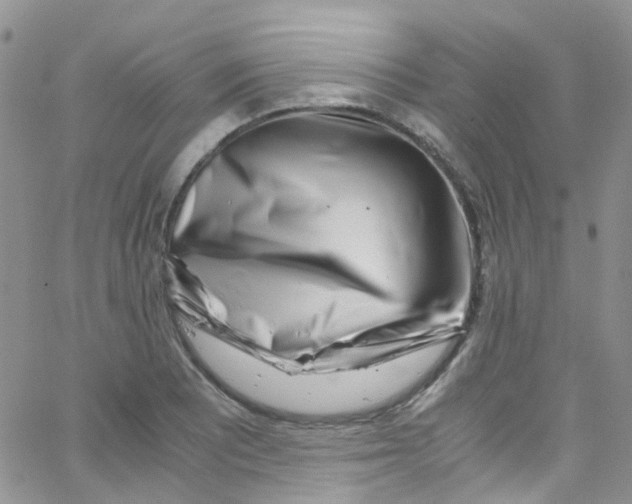 X0000065251081200603131122