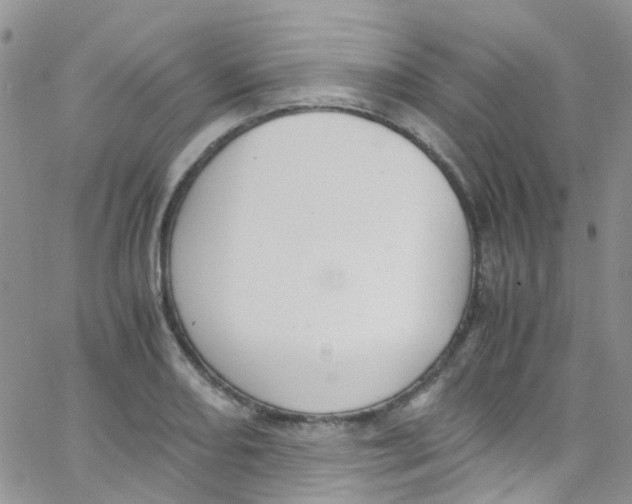 X0000065251082200603131122