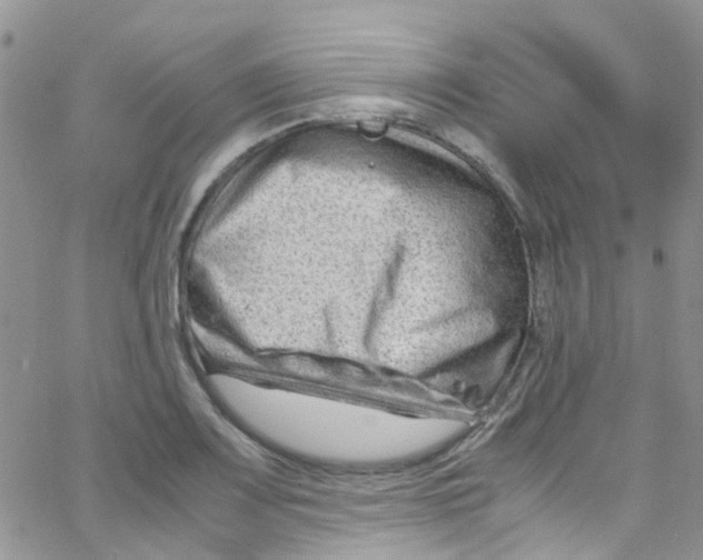 X0000065251083200603131122