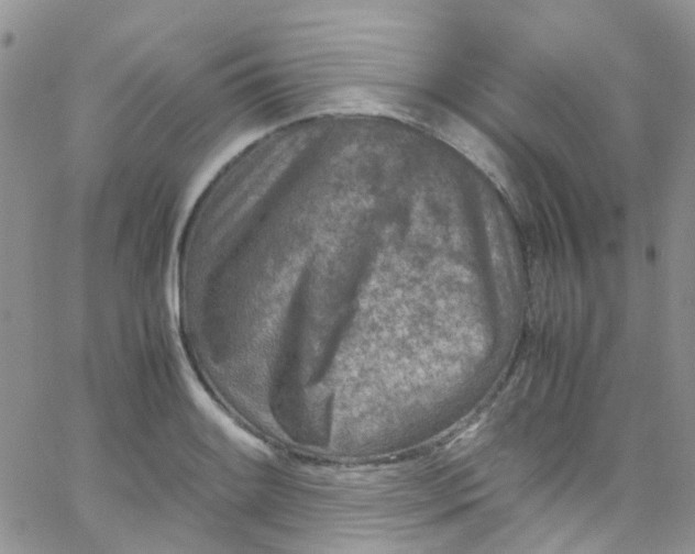 X0000065251084200603131122