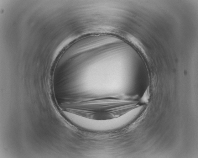 X0000065251085200603131122