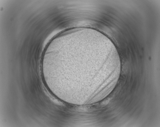 X0000065251086200603131122