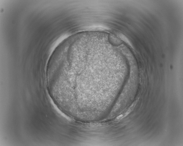 X0000065251087200603131122