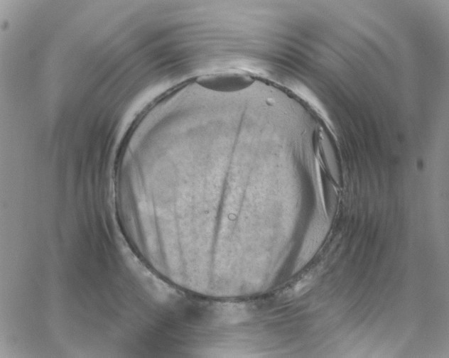 X0000065251088200603131122