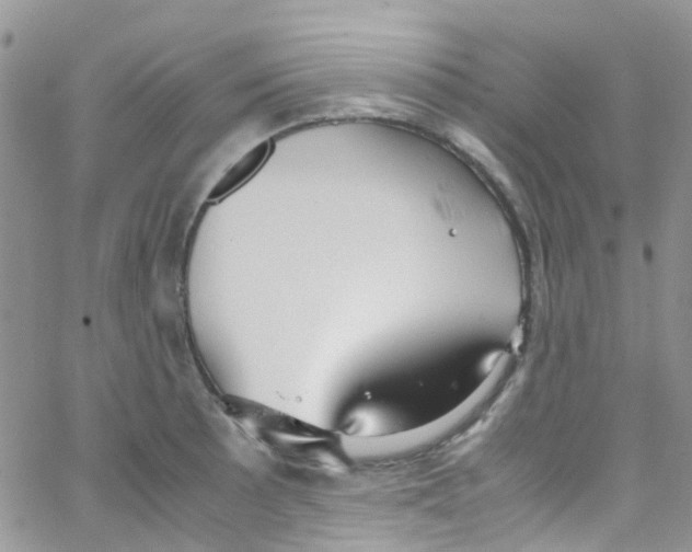 X0000065251089200603131122