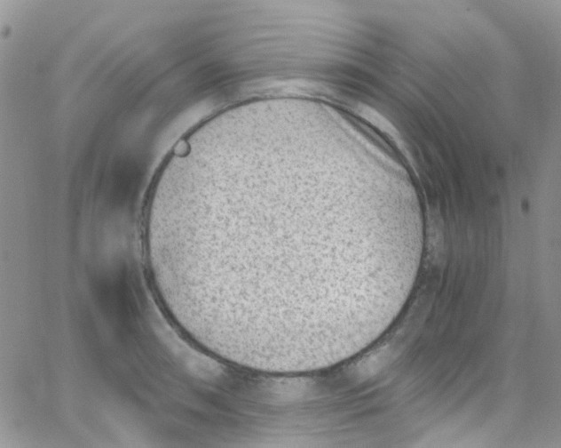 X0000065251090200603131122