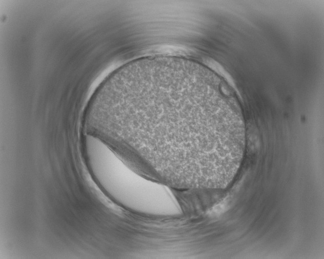 X0000065251091200603131122