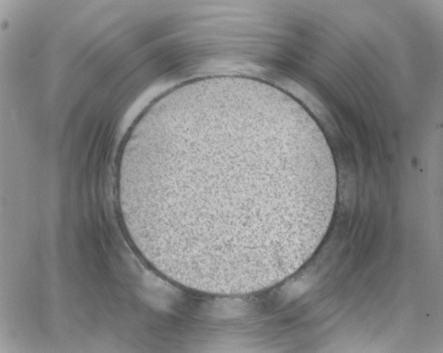 X0000065251094200603131122