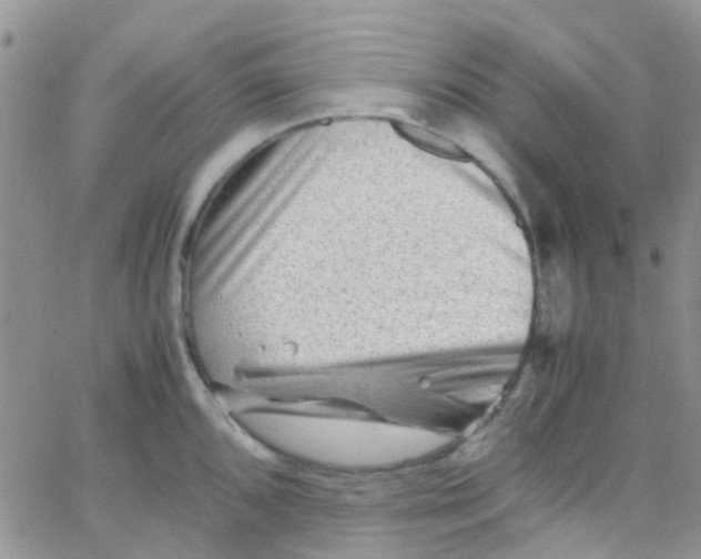 X0000065251096200603131122