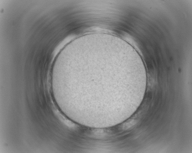 X0000065251098200603131122