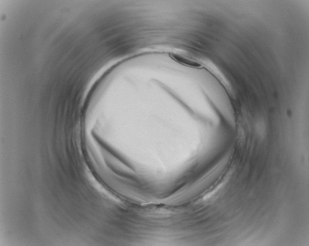 X0000065251100200603131121