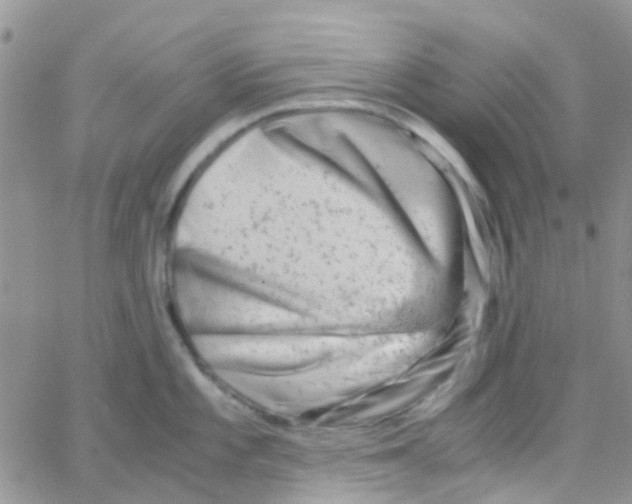 X0000065251101200603131121