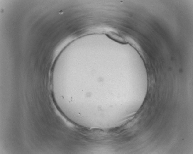 X0000065251103200603131121