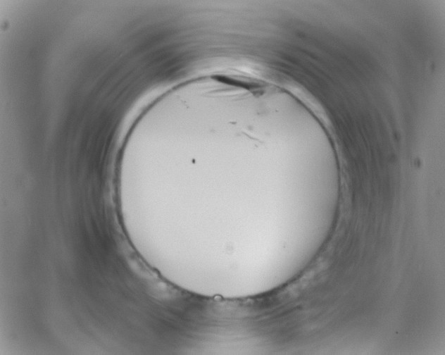 X0000065251104200603131121