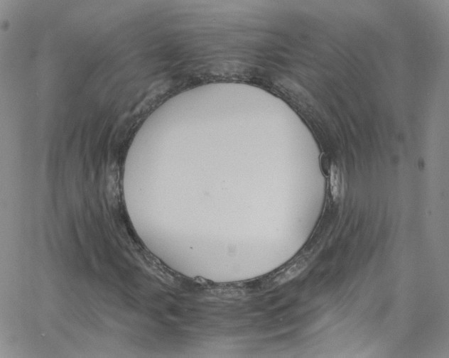 X0000065251107200603131121