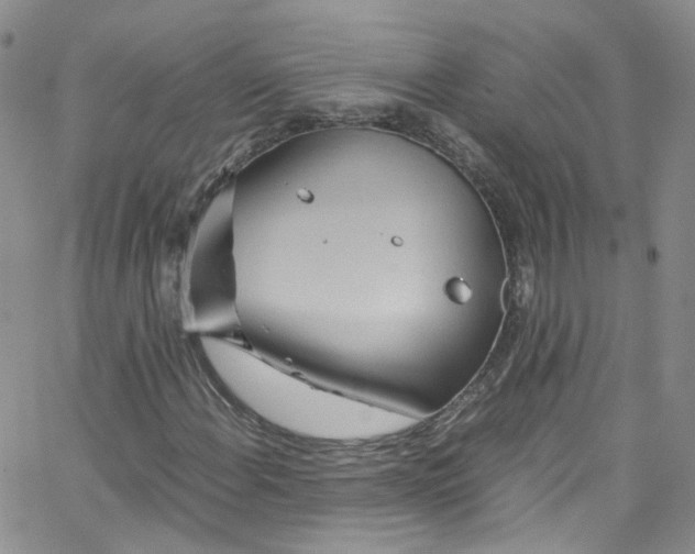 X0000065251108200603131121