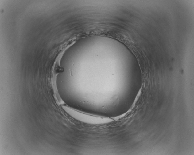 X0000065251109200603131121