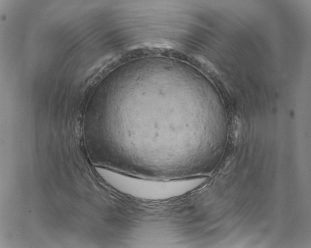 X0000065251110200603131121