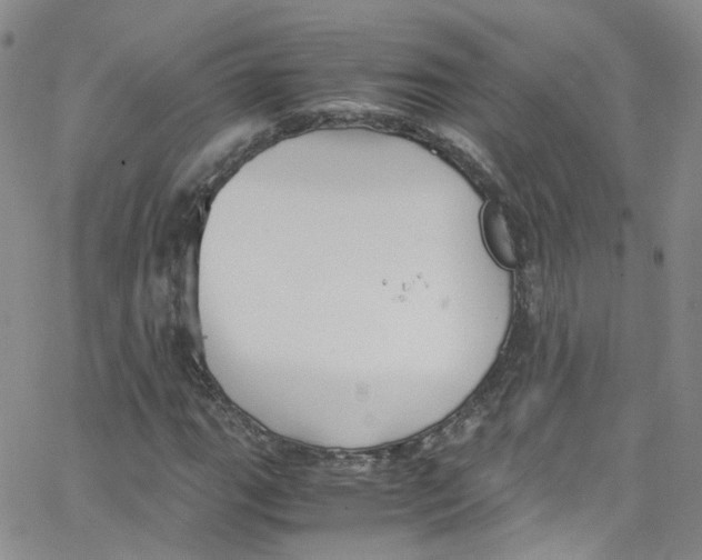 X0000065251111200603131121