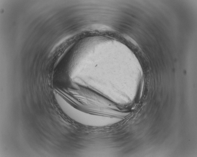 X0000065251112200603131121