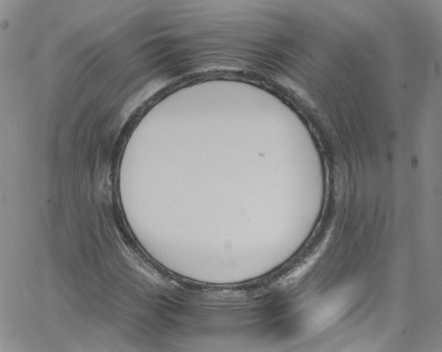 X0000065251113200603131121