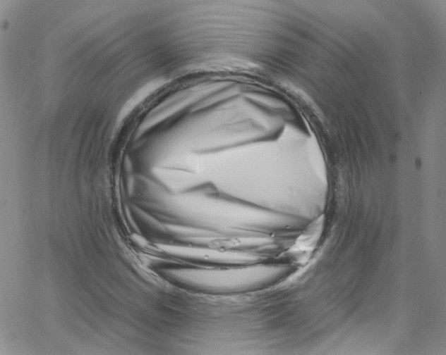 X0000065251114200603131121