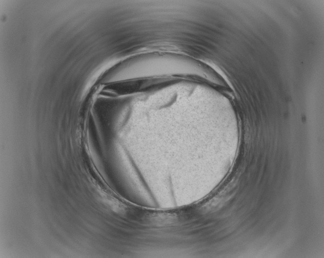 X0000065251115200603131121