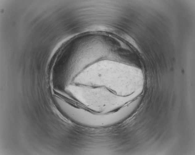 X0000065251116200603131121