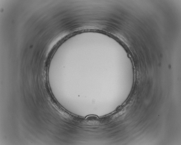 X0000065251119200603131121