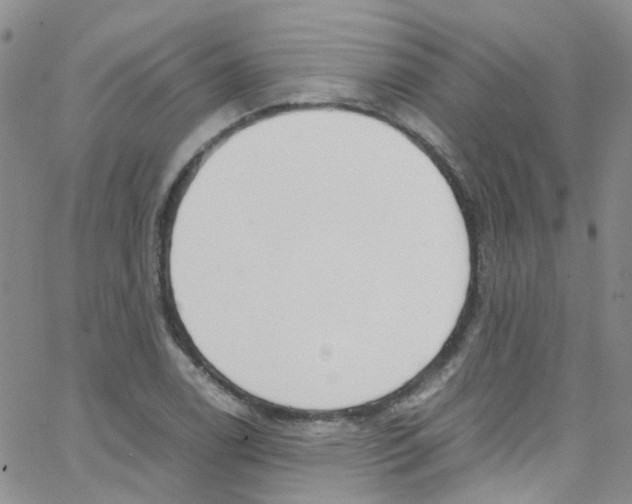 X0000065251122200603131121