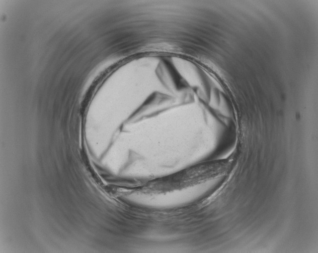 X0000065251123200603131121