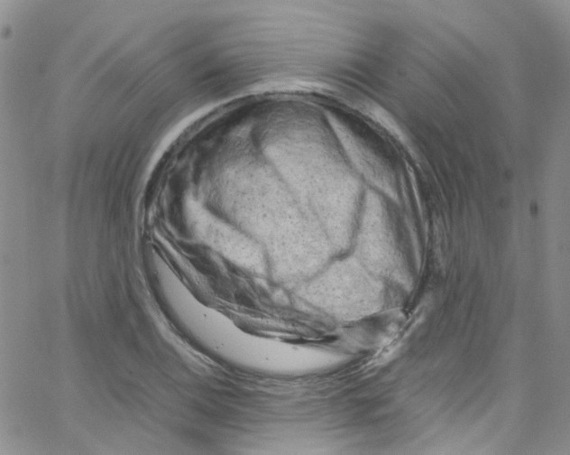 X0000065251124200603131121