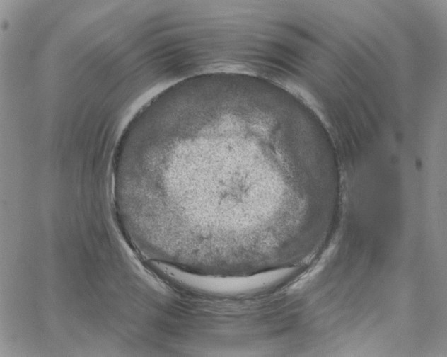 X0000065251125200603131121