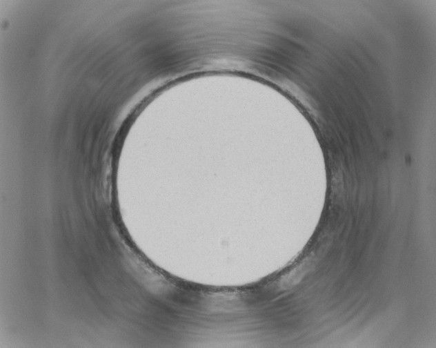 X0000065251126200603131121