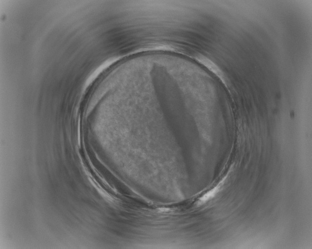 X0000065251127200603131121