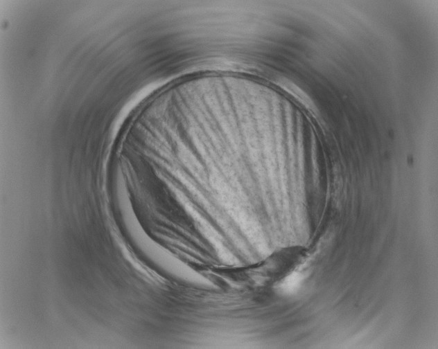 X0000065251128200603131121