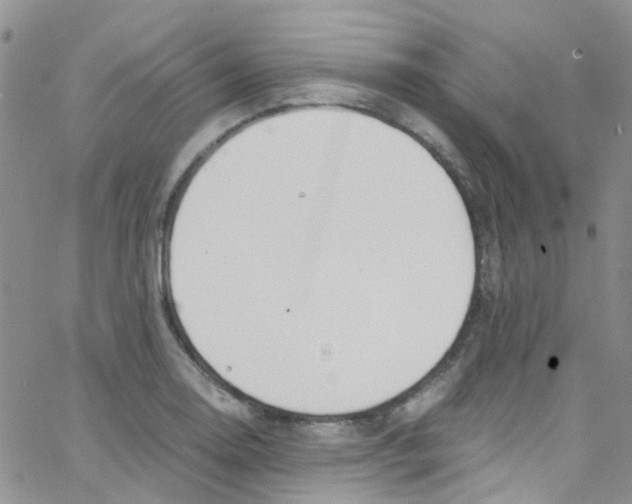 X0000065251130200603131121