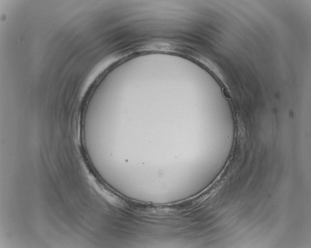 X0000065251131200603131121