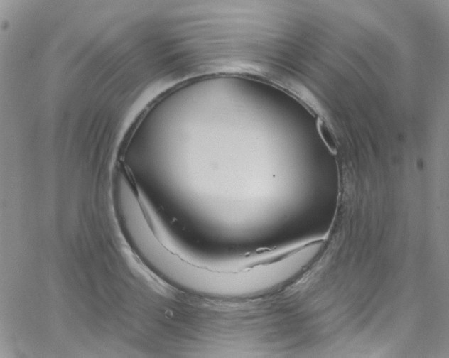 X0000065251132200603131121