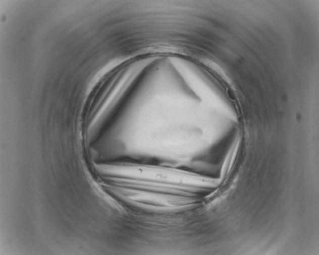 X0000065251133200603131121