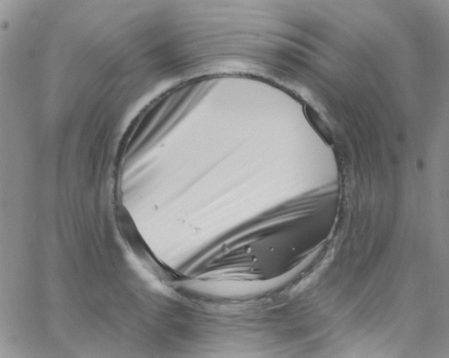 X0000065251134200603131121