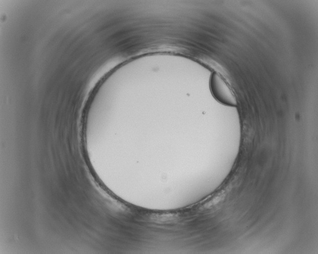 X0000065251135200603131121